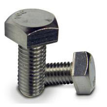 Stainless Steel Penta Bolt